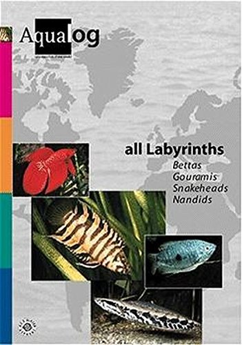 Aqualog. Reference fish of the world: Aqualog, Bd.6, All Labyrinths